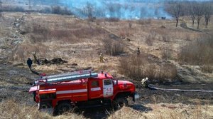 Три лесных пожара потушили в Приморье за минувшие сутки
