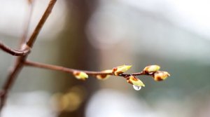 Погода в Приморье на неделю: тепло вернётся к выходным