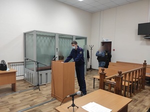 Саратовскую детоубийцу арестовали на два месяца