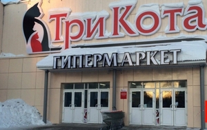 Сеть гипермаркетов «Три Кота» вошла в ТОП-50 самых быстрорастущих компаний России