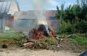  В России с 1 января на территории частных домов запретят сжигать мусор и разводить костры