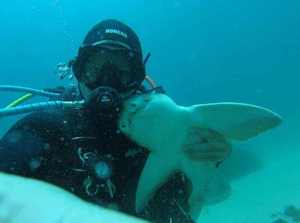 Дайвер из Австралии дружит с акулой
