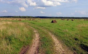 Более 100 заявок на «дальневосточный гектар» одобрено в Приморье
