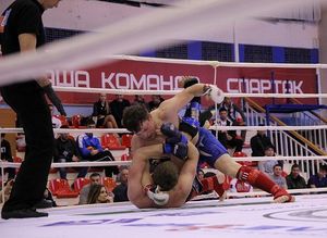 Зрелищное событие ожидает поклонников боевых искусств во Владивостоке