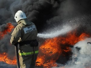 Десять лесных пожаров потушили в Приморье за минувшие сутки