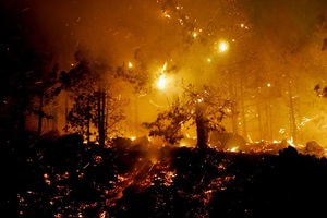 Вице-премьер РФ пригрозил губернаторам отставкой за лесные пожары 