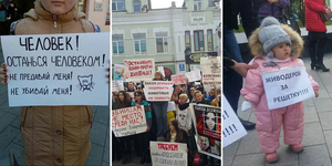 Сотни жителей Владивостока вышли на пикет в защиту животных