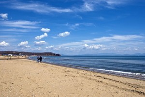 Предприниматель обижал приморцев на Шаморе