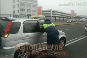 Мини-внедорожник врезался в толпу пешеходов во Владивостоке прямо на "зебре"
