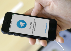 Сторонник Навального во Владивостоке попал в СИЗО из-за репоста в Telegram