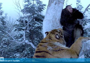 Приморцам объяснили, как вести себя при встрече с крупным хищником - тигром или медведем