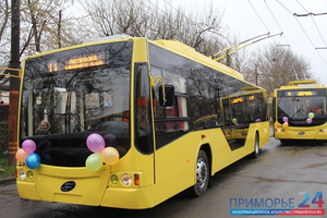 Новый троллейбус за 11 млн рублей появится во Владивостоке