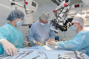 Девять вопросов о высокотехнологичной медицинской помощи в Приморье